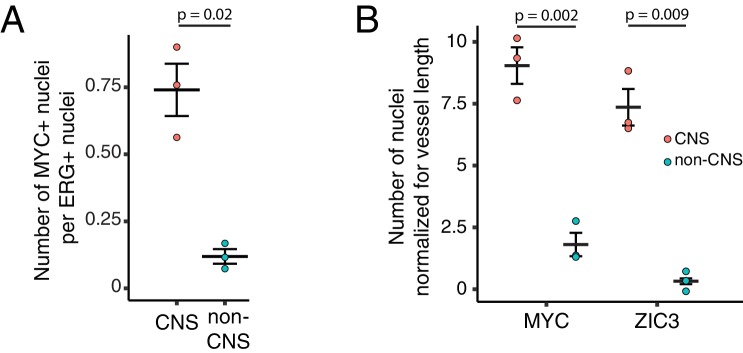 Figure 6—figure supplement 1.