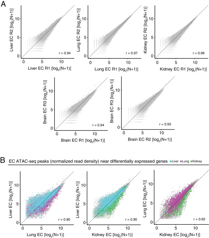 Figure 4—figure supplement 3.