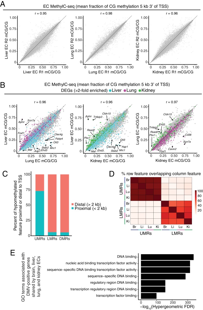 Figure 2—figure supplement 1.