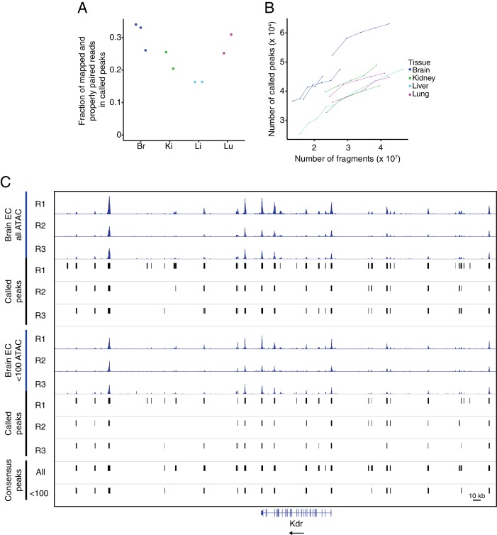 Figure 4—figure supplement 1.