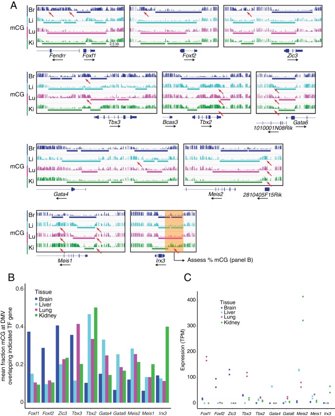 Figure 2—figure supplement 2.