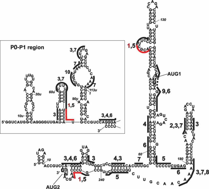 Figure 2.