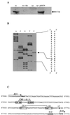 FIG. 10