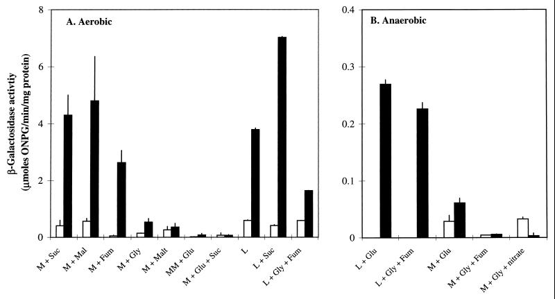 FIG. 7