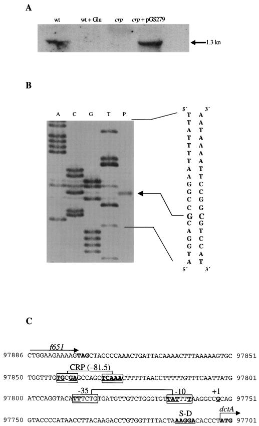 FIG. 10