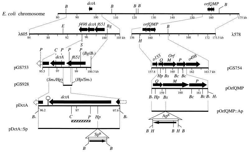 FIG. 1