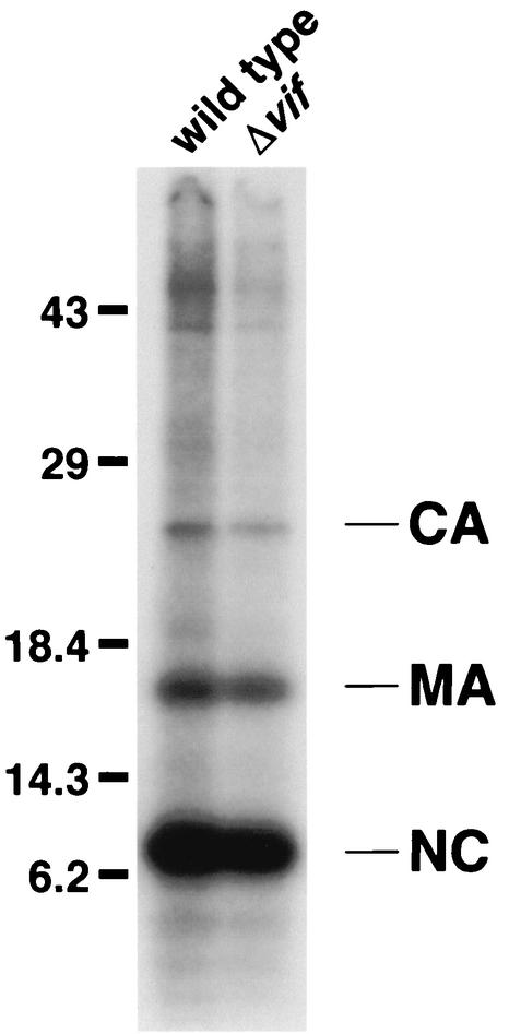 FIG. 7.