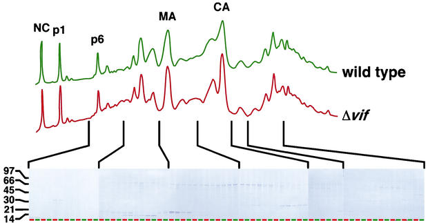 FIG. 5.