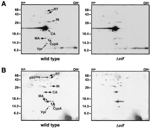 FIG. 4.