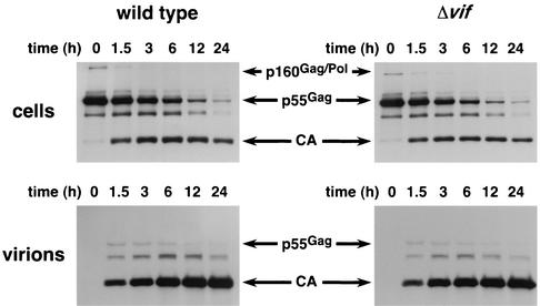 FIG. 6.