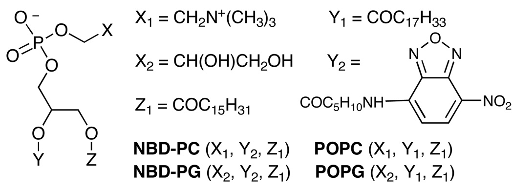 Scheme 3