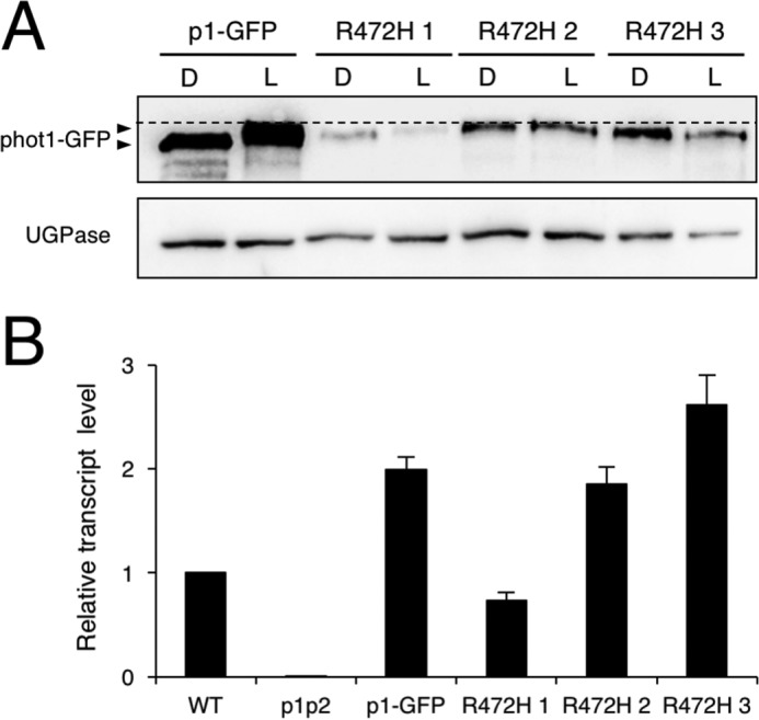 Figure 3.