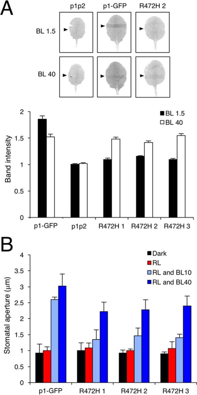 Figure 6.