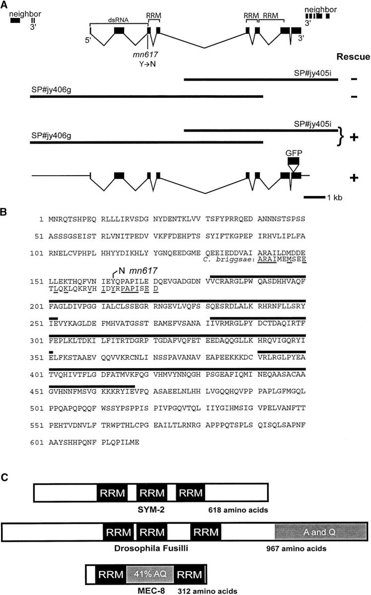 Figure 2.—