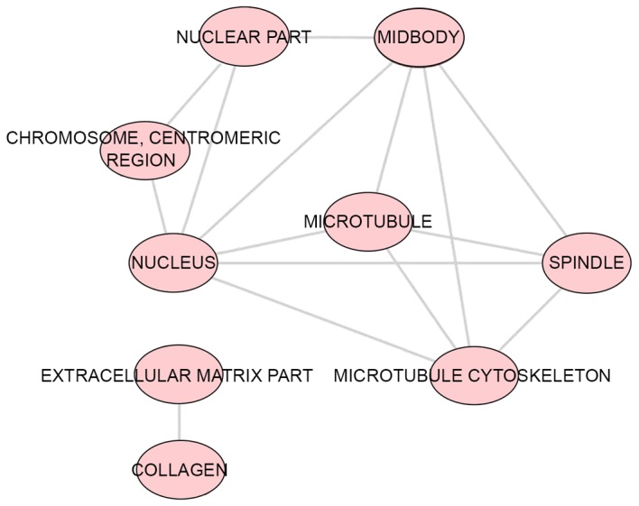 Figure 9.