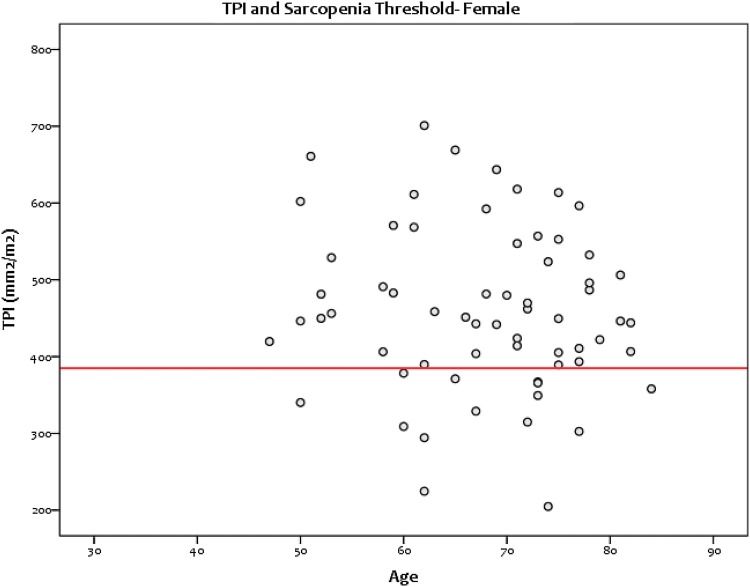 Fig. 4