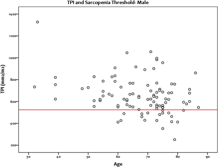 Fig. 3