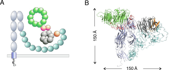 Fig. 6.