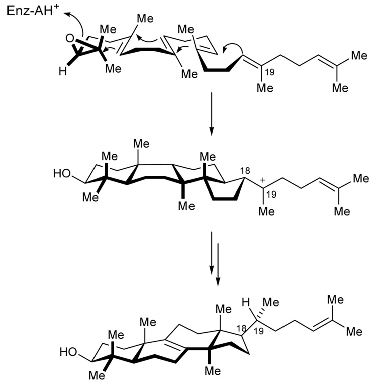 Scheme 17