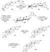 Scheme 26