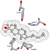 Figure 17
