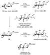Scheme 6