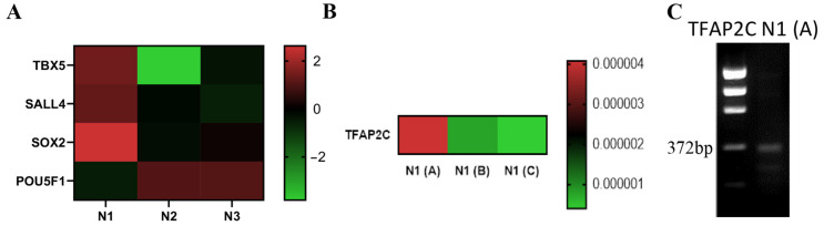 Figure 5