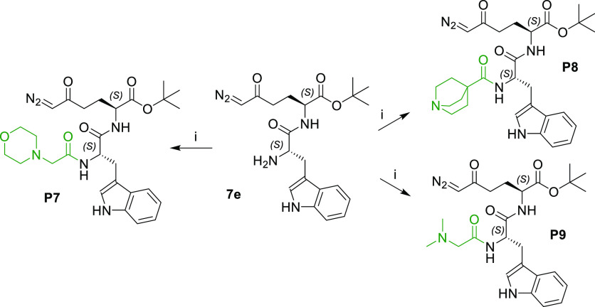 Scheme 2