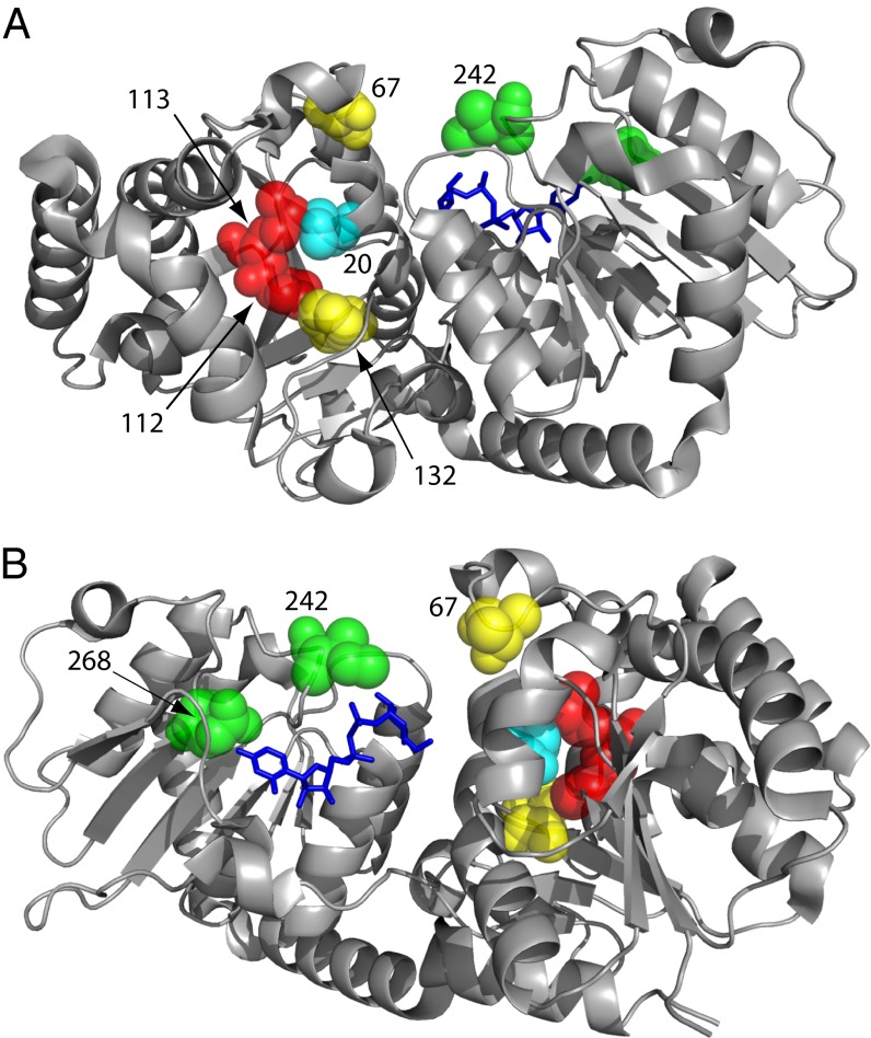 Fig. 4.