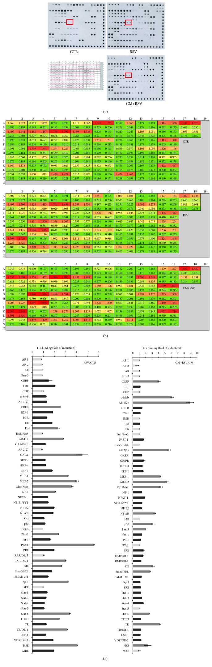 Figure 6