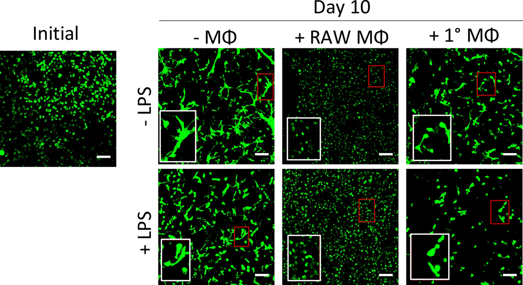 Figure 4 –