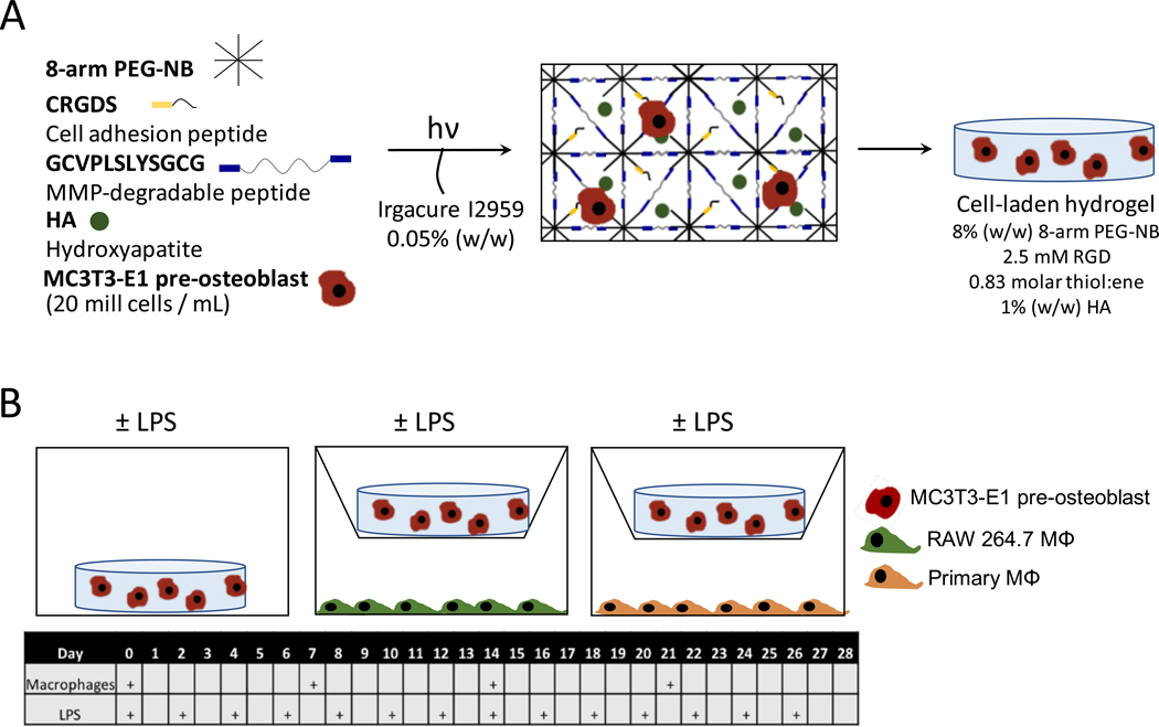 Figure 1 –