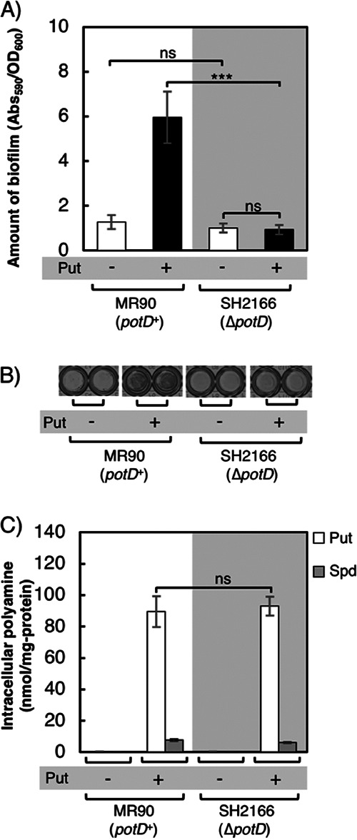 FIG 6