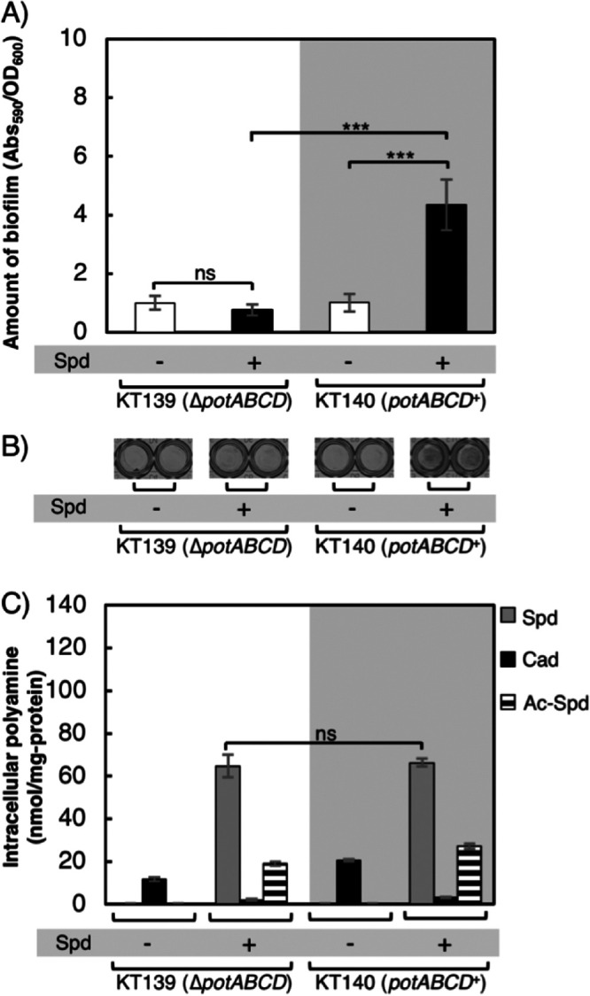 FIG 4