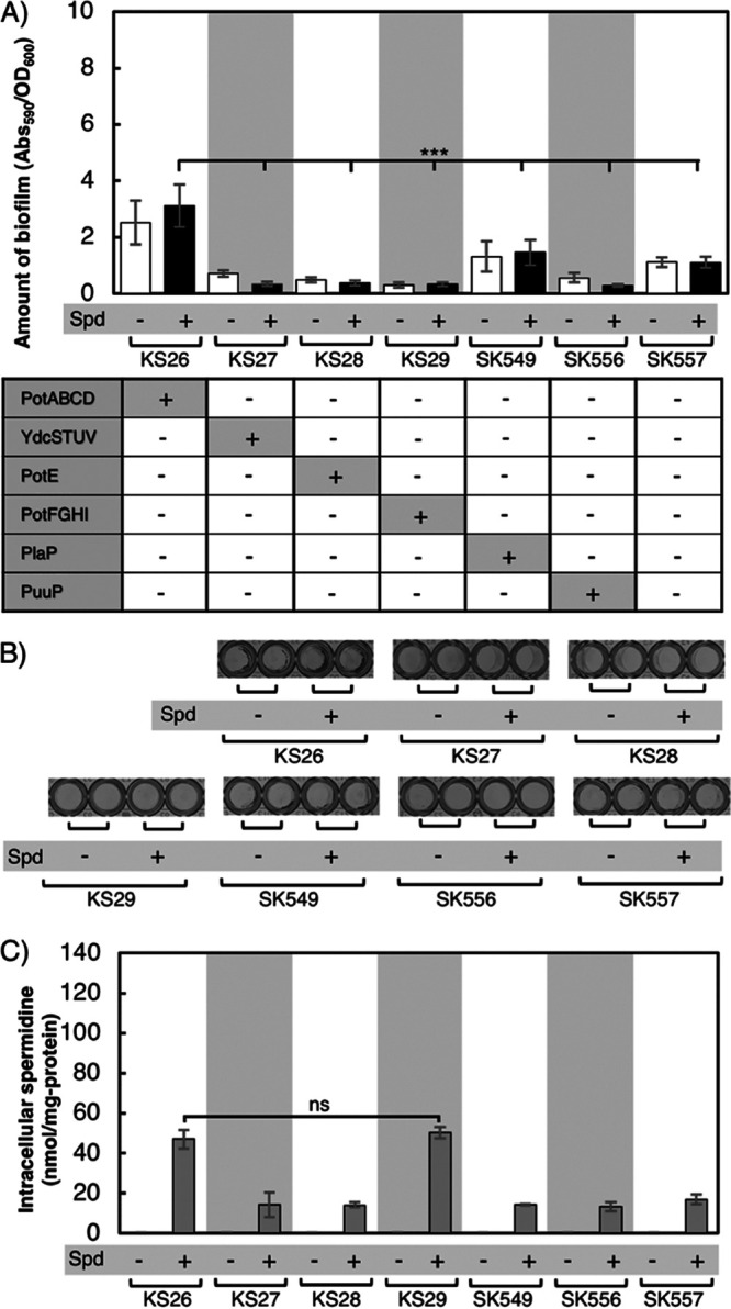 FIG 5