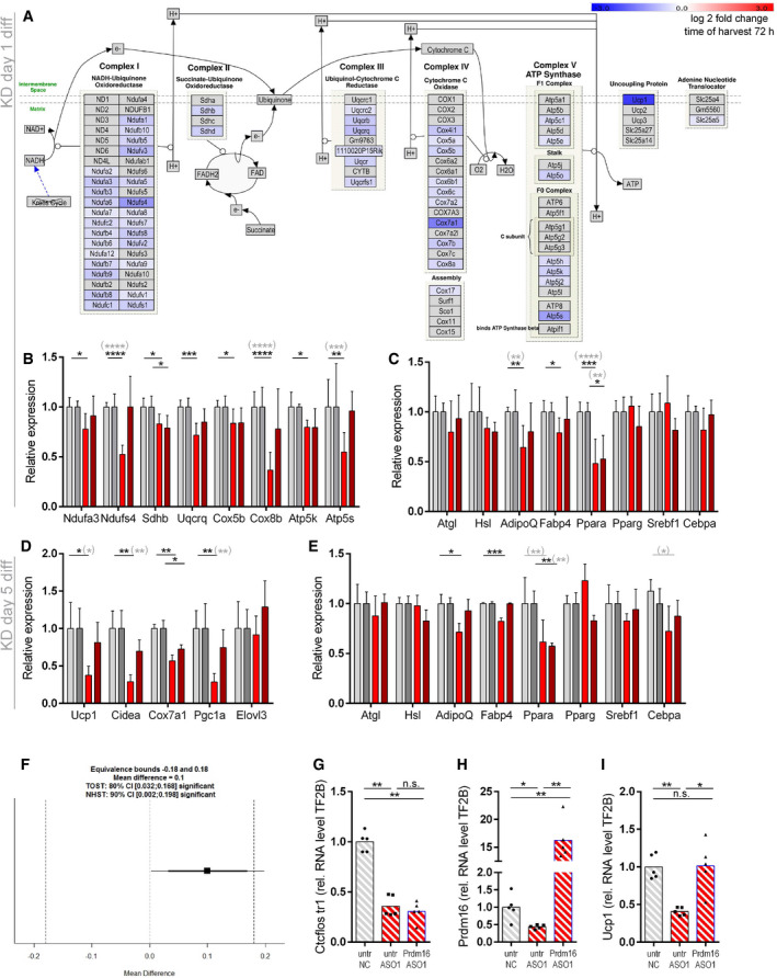 Figure EV3