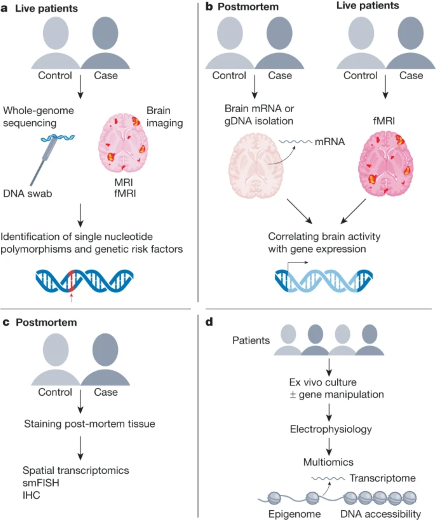 Figure 2: