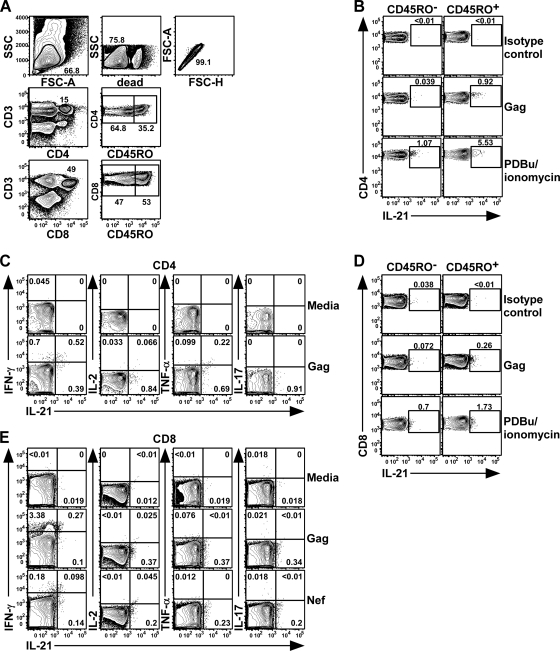 FIG. 1.