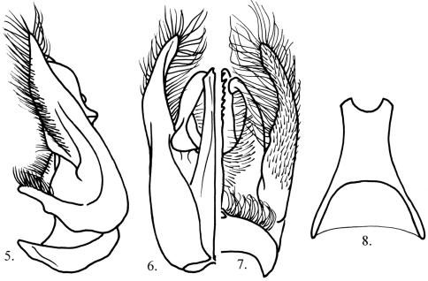 Figures 5–8.