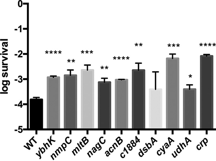 FIG 1