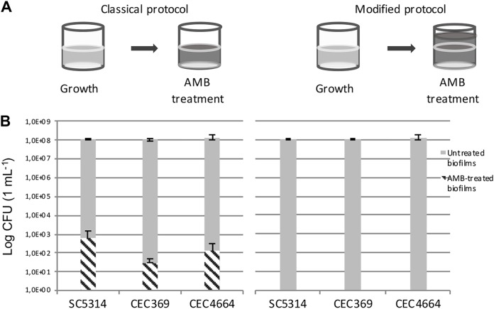 FIG 2