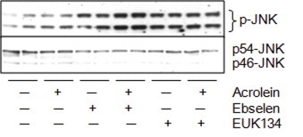 Fig. S3