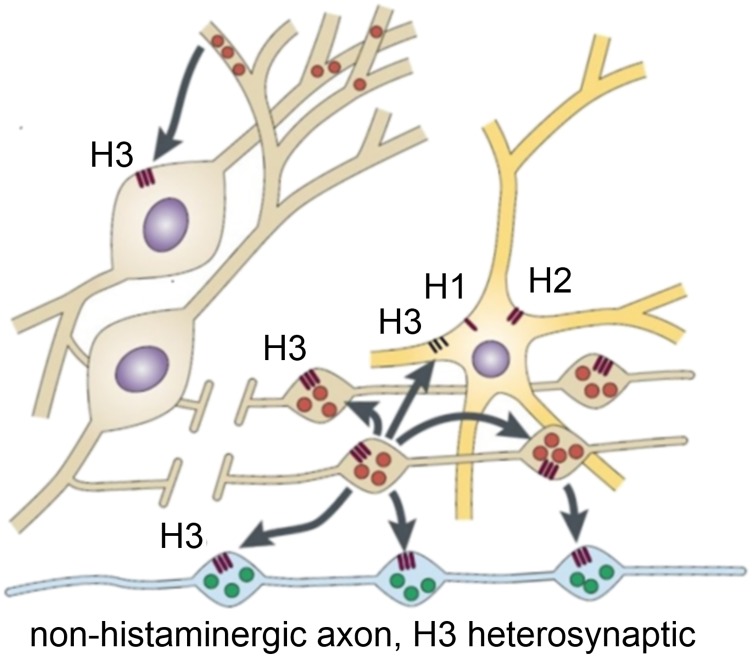 Fig. 11.