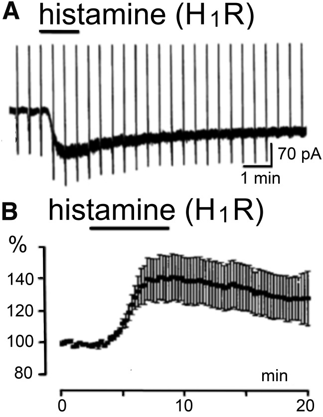 Fig. 6.