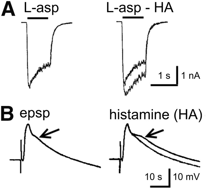 Fig. 18.