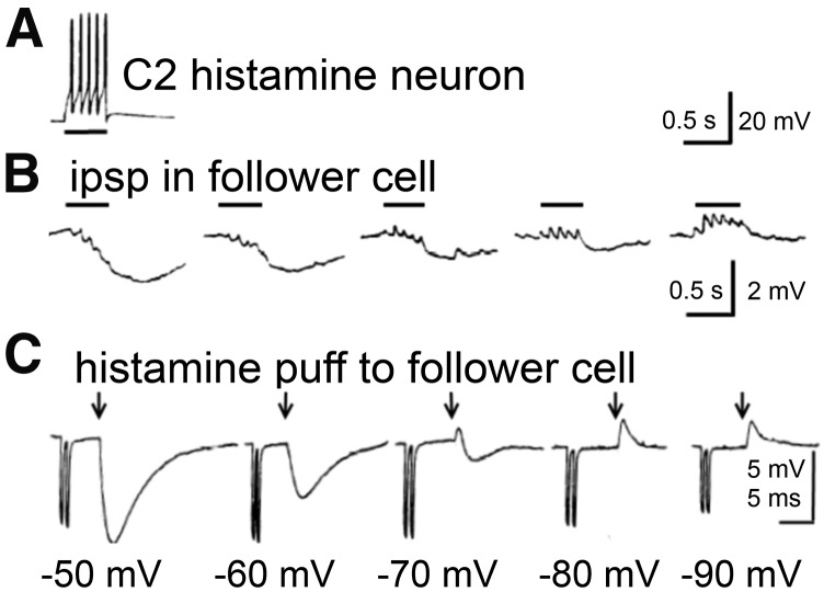 Fig. 17.