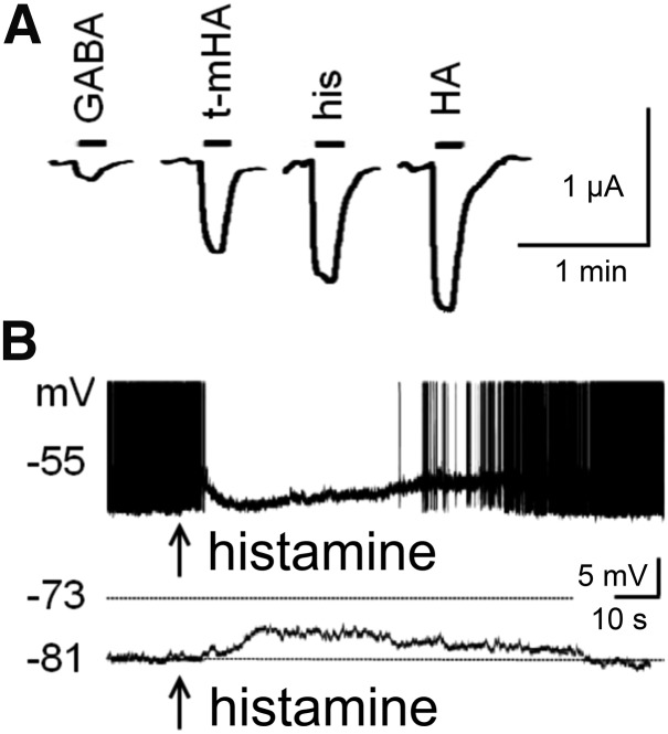 Fig. 16.