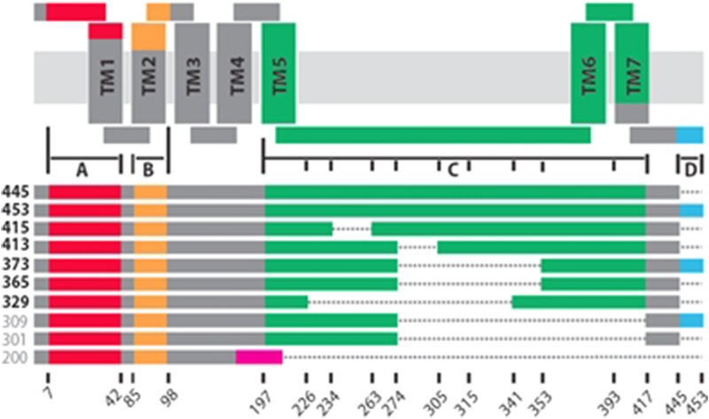 Fig. 10.