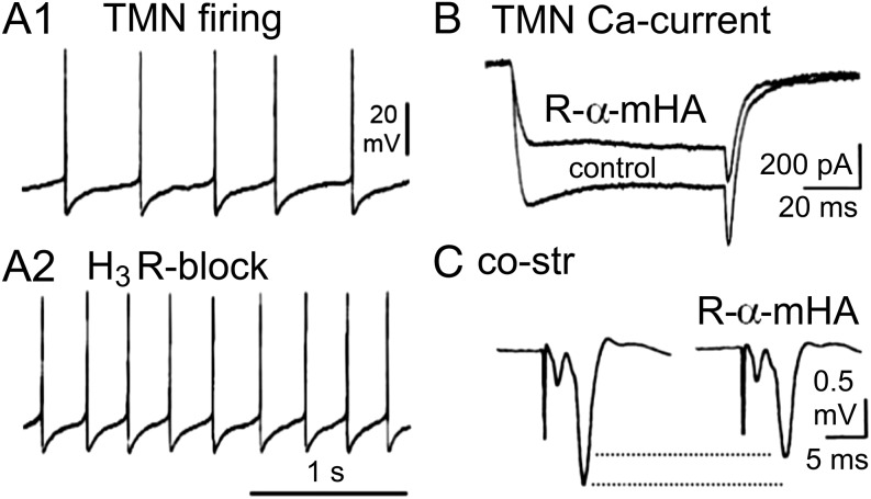 Fig. 12.