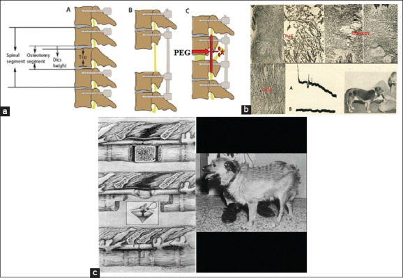 Figure 1: